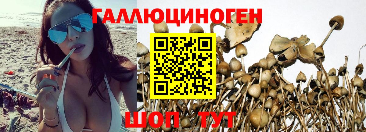 купить наркотик  Галлюциногенные грибы мицелий  Псилоцибиновые грибы мухоморы  Вход с VPN  Зерноград 