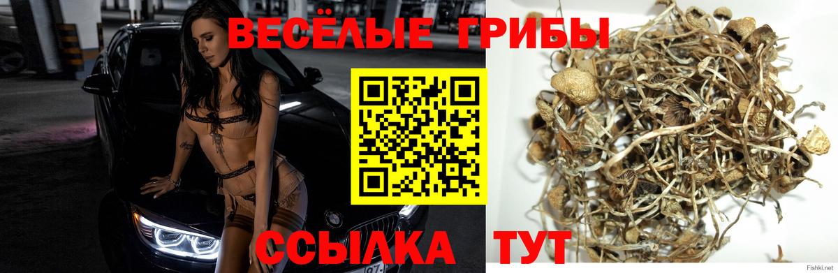 Псилоцибиновые грибы ЛСД Зерноград